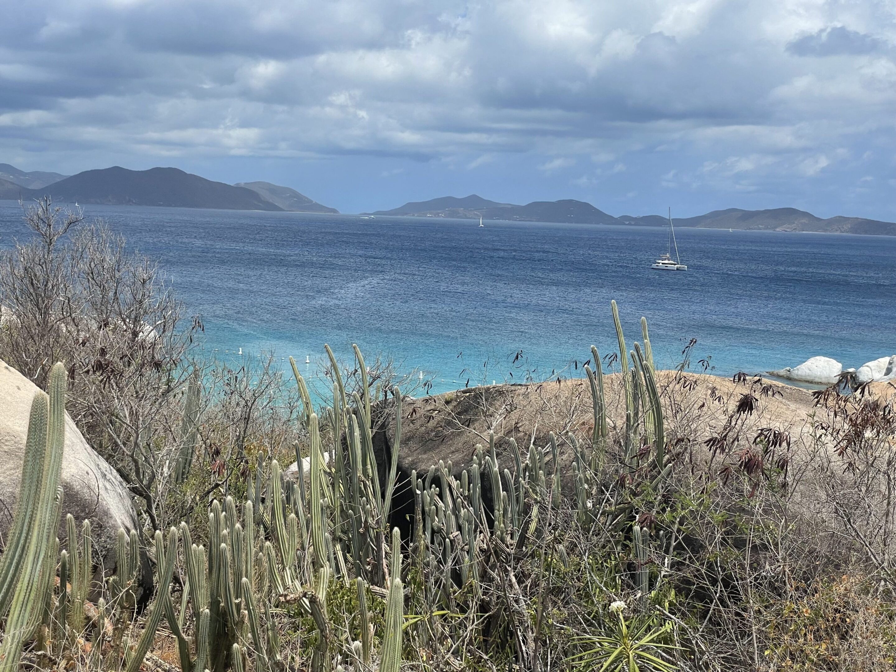 Ocean view with cacti in the foreground under a cloudy sky.
