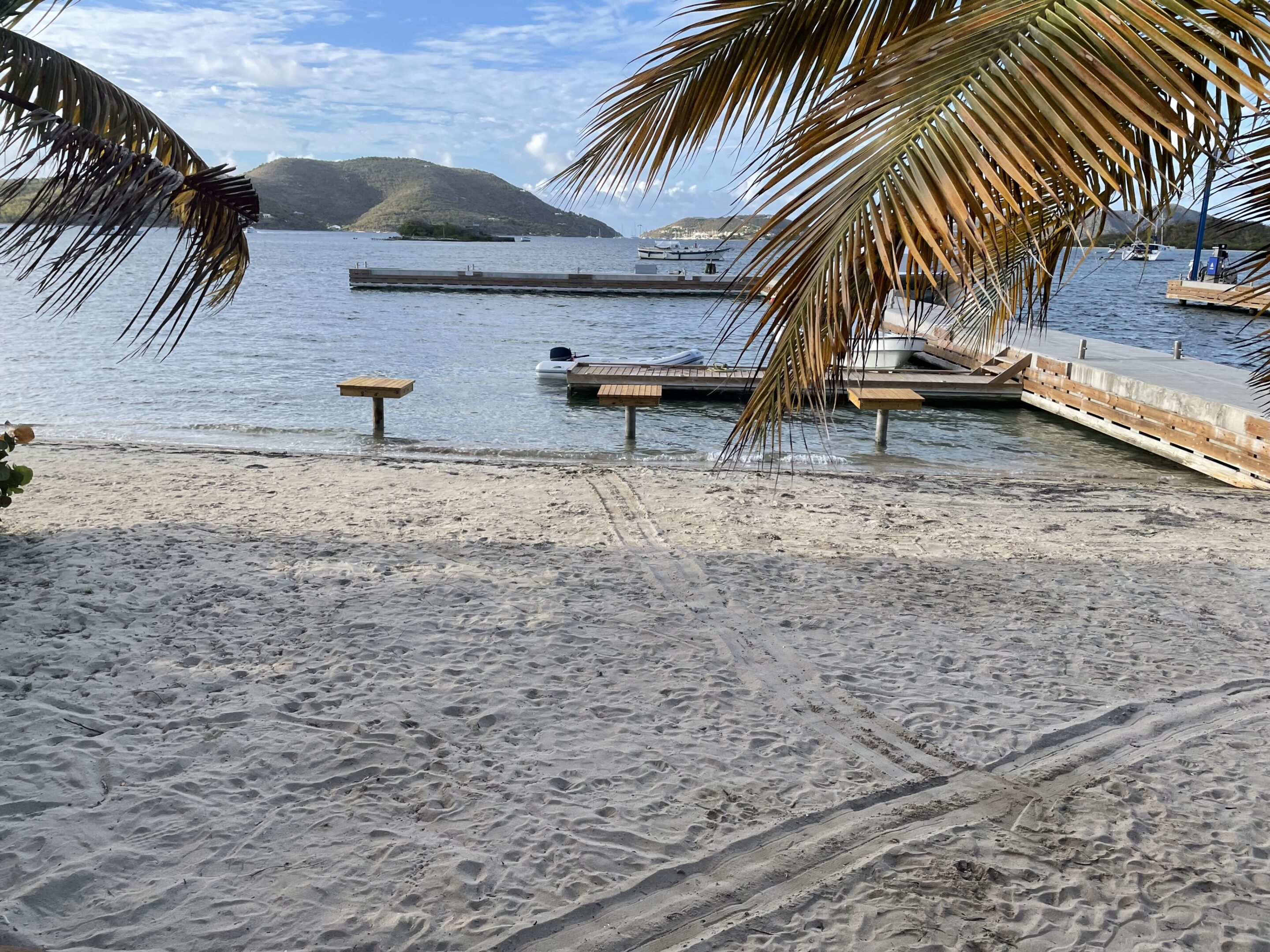 Peaceful beach scene with palm trees, benches, and calm water.